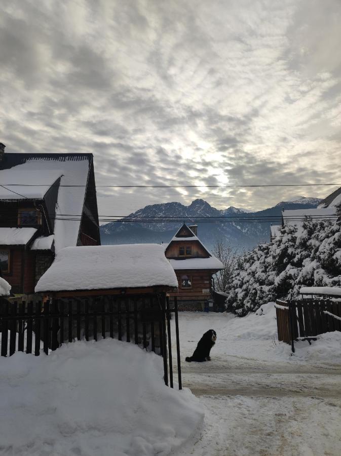 Apartamenty - Wymarzone Widoki Zakopane Kültér fotó